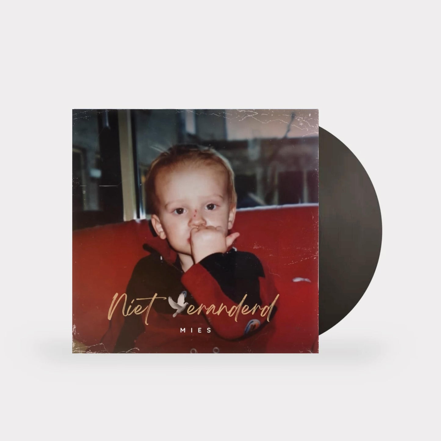 Niet Veranderd LP (PRE-ORDER)
